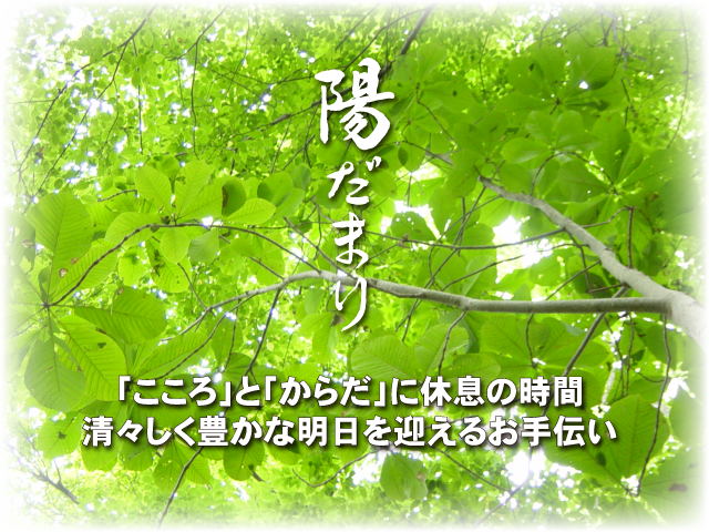 陽だまりのメインイメージ「ほうの木の木漏れ日」の写真、題字に「陽だまり」、標語に「こころとからだに休息の時間、清々しく豊かな明日を迎えるお手伝い」と書いてある